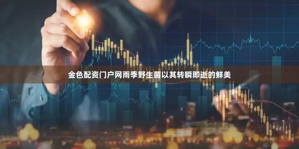 金色配资门户网雨季野生菌以其转瞬即逝的鲜美