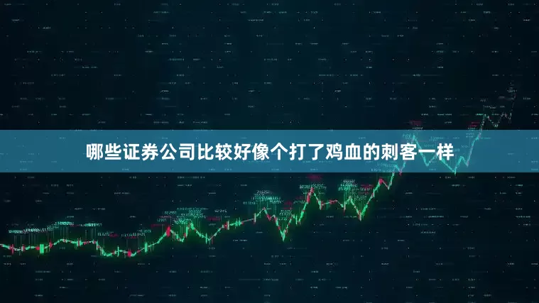 哪些证券公司比较好像个打了鸡血的刺客一样